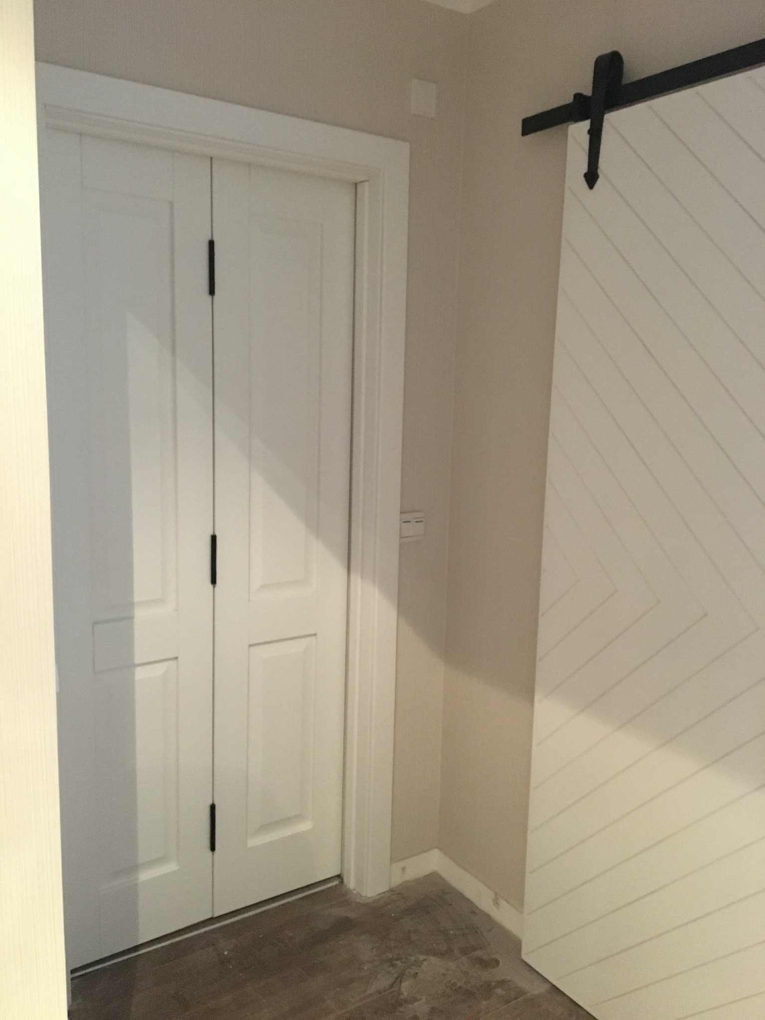 Barn Door and Panel Door Combination